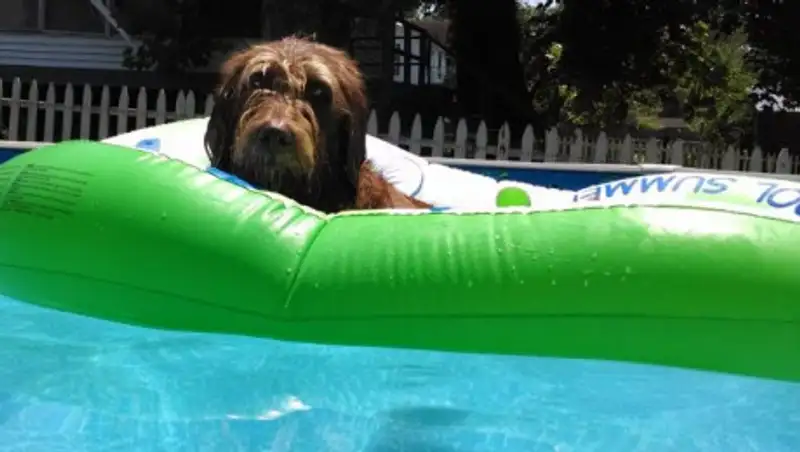 ВКО и Алматинскую область ожидает сильная жара во вторник