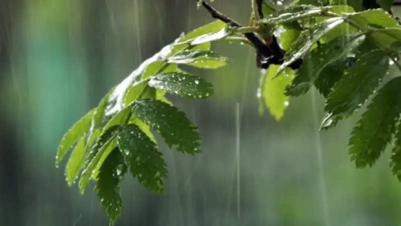 12 мая на большей части территории Казахстана сохраняются дожди с грозами