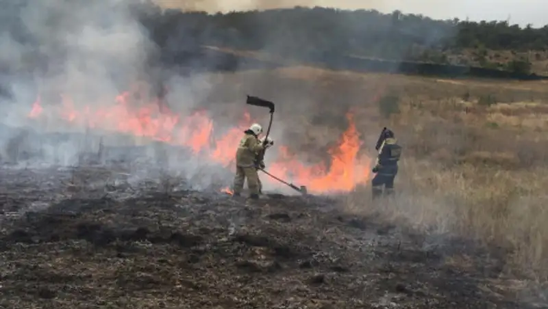 Бурундайское кладбище едва не загорелось под Алматы