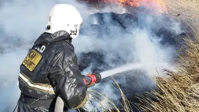 СКО, фото - Новости Zakon.kz от 05.05.2023 23:12