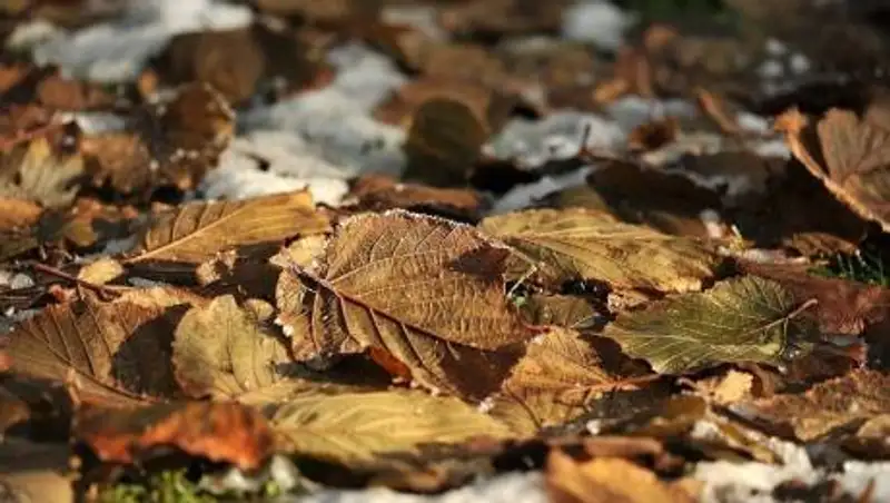 7 октября на большей части Казахстана ожидаются осадки в виде дождя и снега