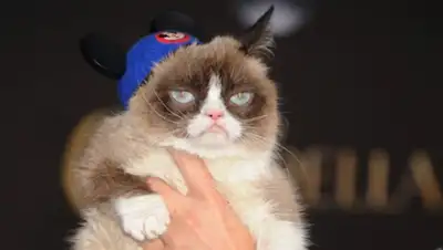 Zakon.kz, фото - Новости Zakon.kz от 27.08.2015 17:52