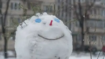 Zakon.kz, фото - Новости Zakon.kz от 09.12.2016 12:59