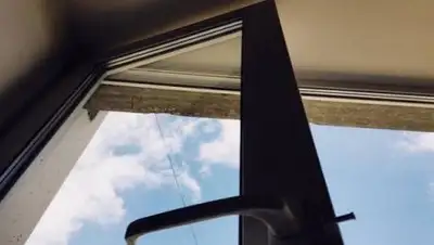 24.kz, фото - Новости Zakon.kz от 09.11.2020 19:25