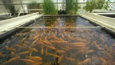 Zakon.kz, фото - Новости Zakon.kz от 11.08.2016 17:27