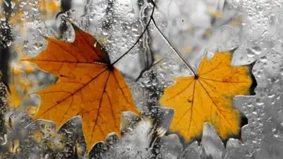 don24.ru, фото - Новости Zakon.kz от 12.10.2018 09:30