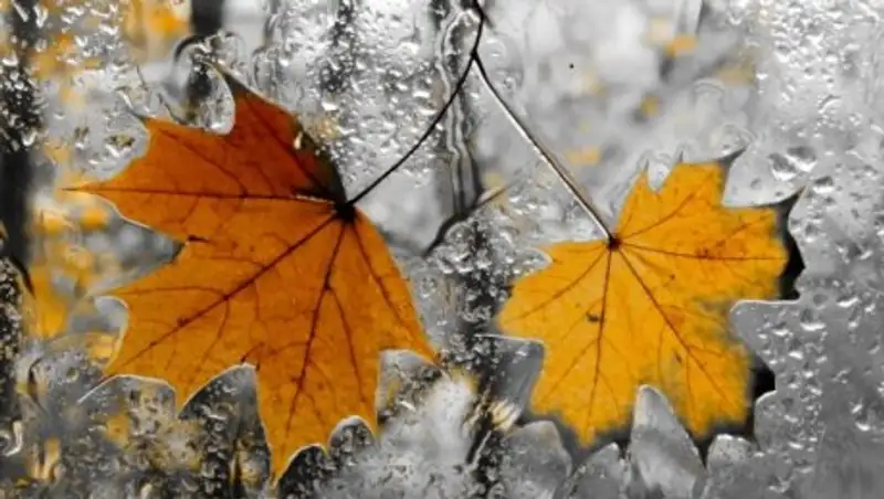 На севере и юге страны в пятницу возможны осадки