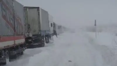 из открытых источников, фото - Новости Zakon.kz от 21.01.2019 11:52