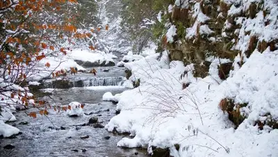 pixabay.com, фото - Новости Zakon.kz от 03.12.2019 15:31