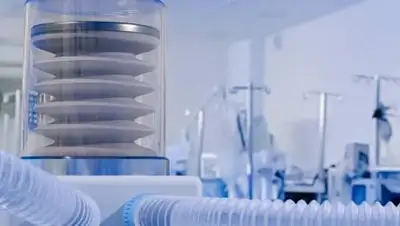 Pixabay, фото - Новости Zakon.kz от 18.10.2020 15:38