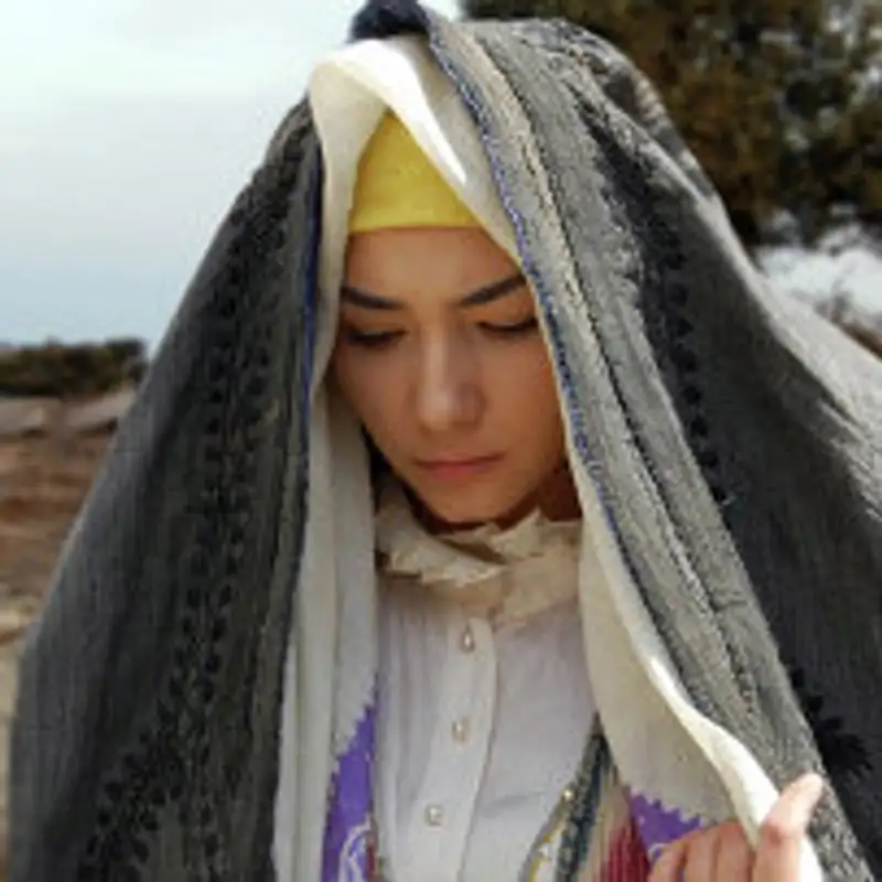 В Ташкенте прошли Дни казахстанского кино