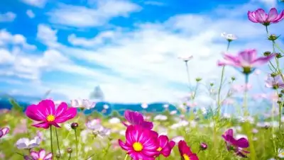 ic24.kz, фото - Новости Zakon.kz от 19.06.2018 09:20