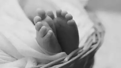 pixabay.com, фото - Новости Zakon.kz от 18.02.2021 22:39