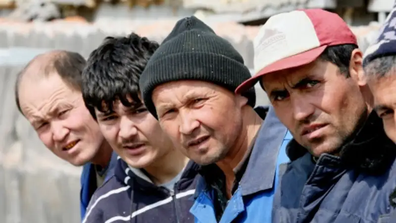 Нелегальных трудовых мигрантов призвали к ответу в Кокшетау