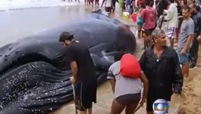 Zakon.kz, фото - Новости Zakon.kz от 25.08.2017 10:24