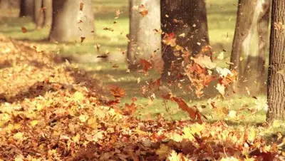 Zakon.kz, фото - Новости Zakon.kz от 07.09.2017 06:00