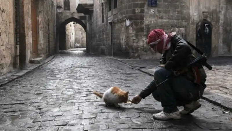 Подписаны документы о прекращении огня в Сирии