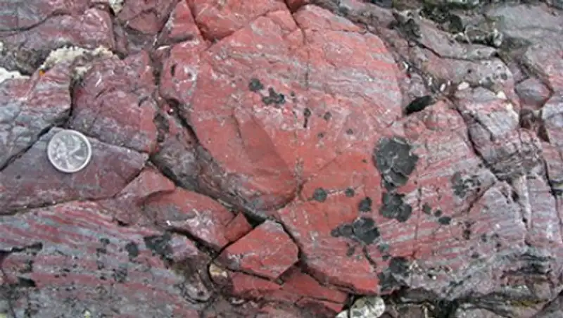 Найден древнейший организм на Земле