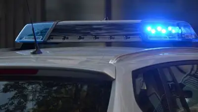 pixabay, фото - Новости Zakon.kz от 27.01.2019 09:42