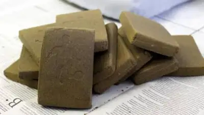 24.kz, фото - Новости Zakon.kz от 15.09.2020 16:11