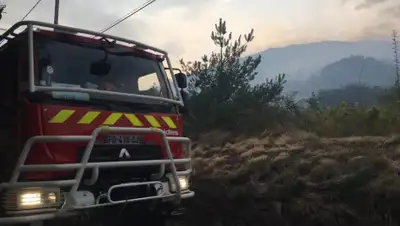 francebleu, фото - Новости Zakon.kz от 02.08.2020 08:47