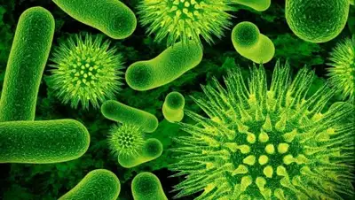 lifestore.bg, фото - Новости Zakon.kz от 03.05.2018 08:57