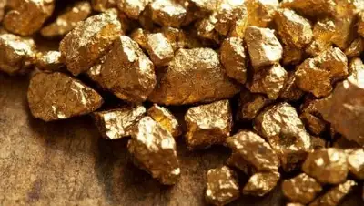 Zakon.kz, фото - Новости Zakon.kz от 24.11.2017 10:07