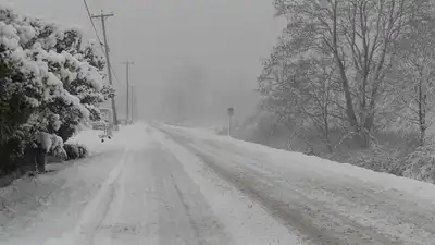 зима, фото - Новости Zakon.kz от 06.12.2022 23:04