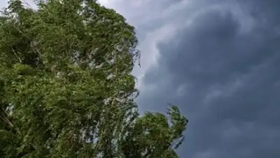 Zakon.kz, фото - Новости Zakon.kz от 04.08.2017 22:24