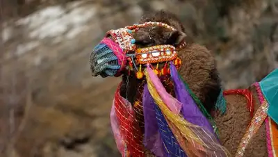 Zakon.kz, фото - Новости Zakon.kz от 02.10.2017 09:48