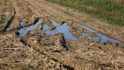 Pixabay, фото - Новости Zakon.kz от 04.03.2020 00:01