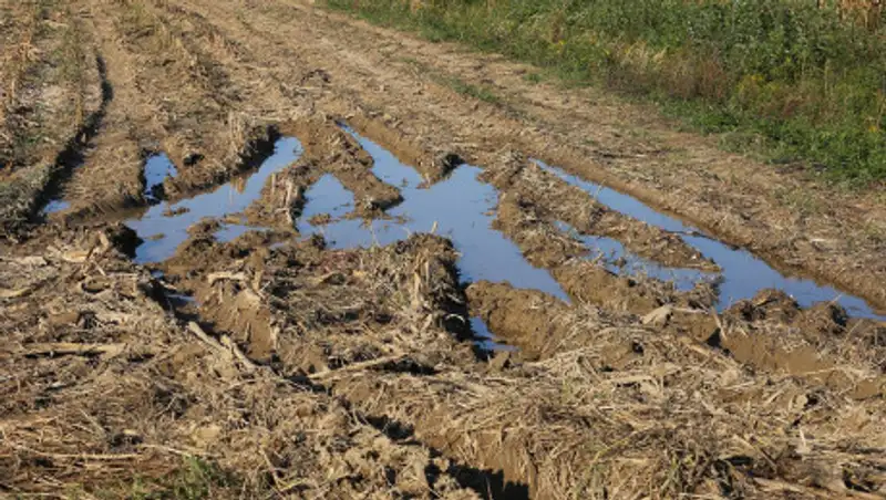 Жители алматинского микрорайона надевают на ноги пакеты из-за грязи