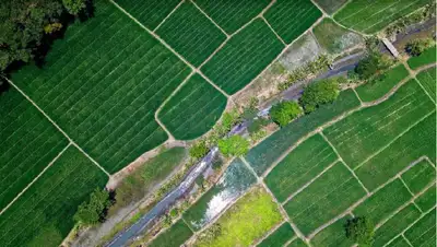 земельный участок , фото - Новости Zakon.kz от 07.04.2022 12:46