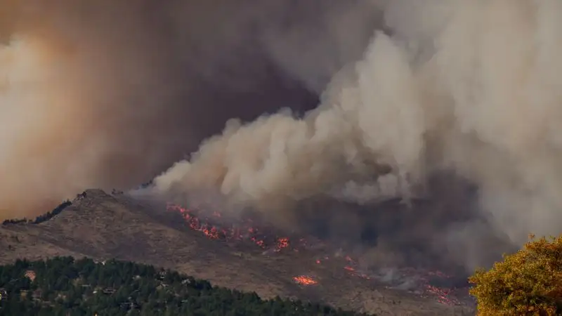 Страховой случай: На какие выплаты могут рассчитывать пострадавшие от пожаров