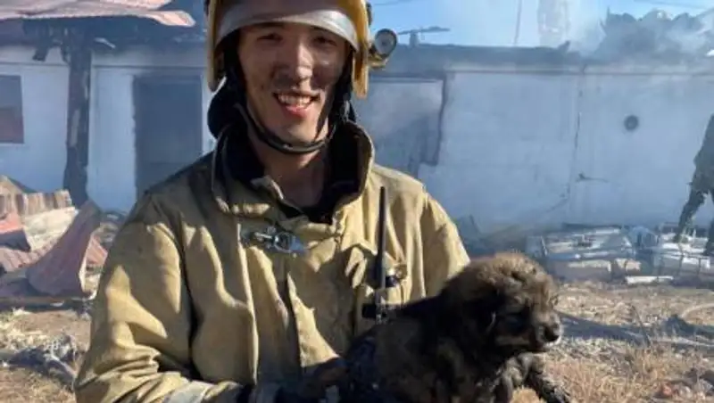 Спасение щенка из огня восхитило казахстанцев