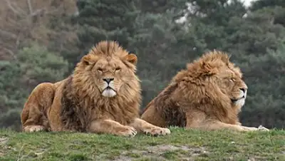 Zakon.kz, фото - Новости Zakon.kz от 31.08.2017 08:10