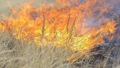 Zakon.kz, фото - Новости Zakon.kz от 31.05.2016 20:43