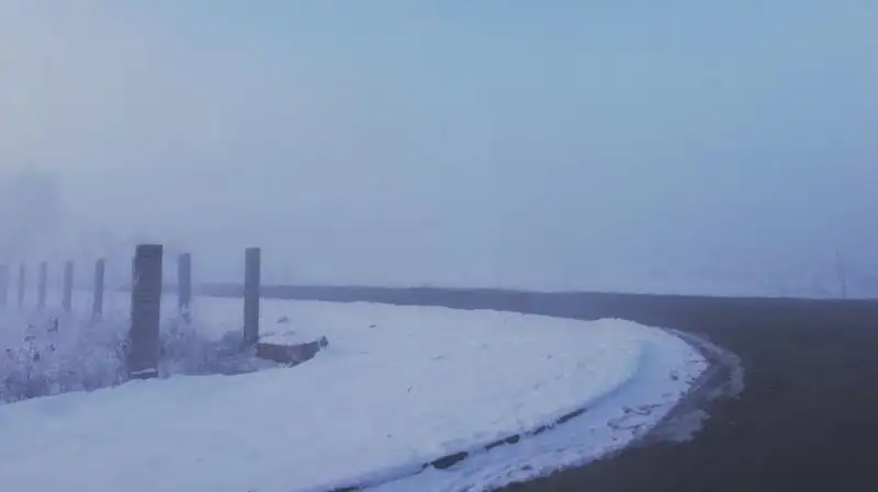 Узбекистанцев призвали воздержаться от поездок в Казахстан