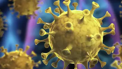 Bayer, фото - Новости Zakon.kz от 05.04.2020 11:14