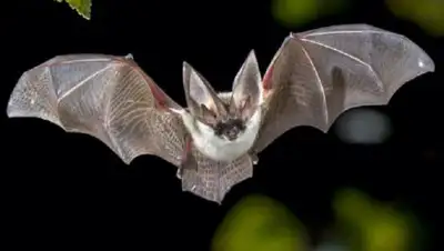 Almaty.tv, фото - Новости Zakon.kz от 25.08.2020 08:21