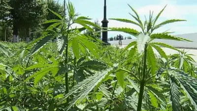 Zakon.kz, фото - Новости Zakon.kz от 16.06.2015 04:30