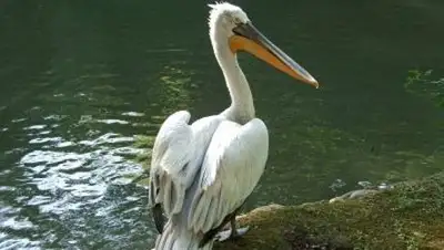 Zakon.kz, фото - Новости Zakon.kz от 19.10.2014 19:48