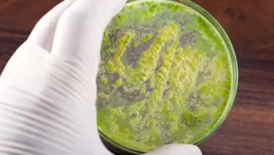 © Fotolia / ET1972, фото - Новости Zakon.kz от 14.07.2018 10:55