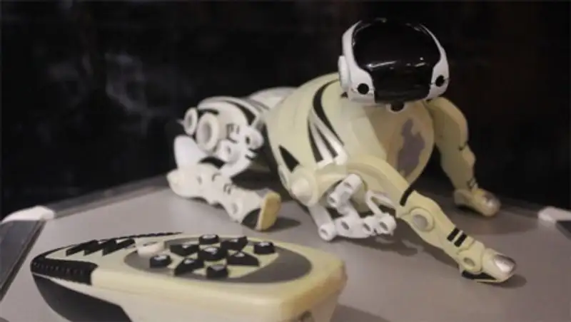 В Уральск привезли роботов из книги рекордов Гиннеса