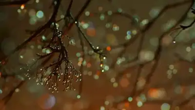 telegraf.com.ua, фото - Новости Zakon.kz от 12.03.2018 14:27