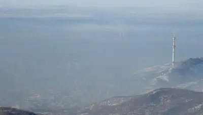 wikimedia.org, фото - Новости Zakon.kz от 04.06.2019 23:23