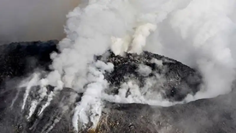 Названа причина появления современных людей