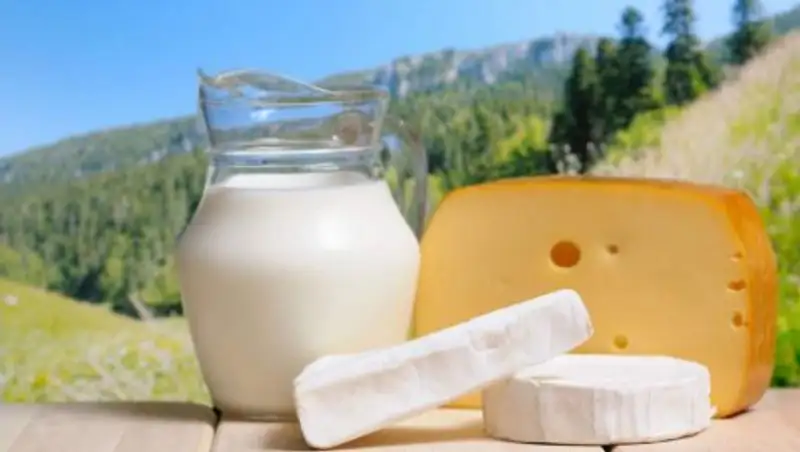 На какие продукты в РК устанавливается гарантированная закупочная цена