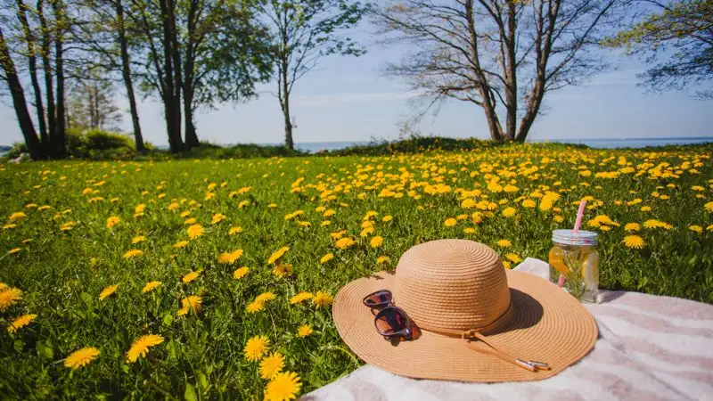 Топ-10 дел, которые нужно успеть сделать этим летом