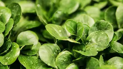 защита , фото - Новости Zakon.kz от 02.03.2023 12:52